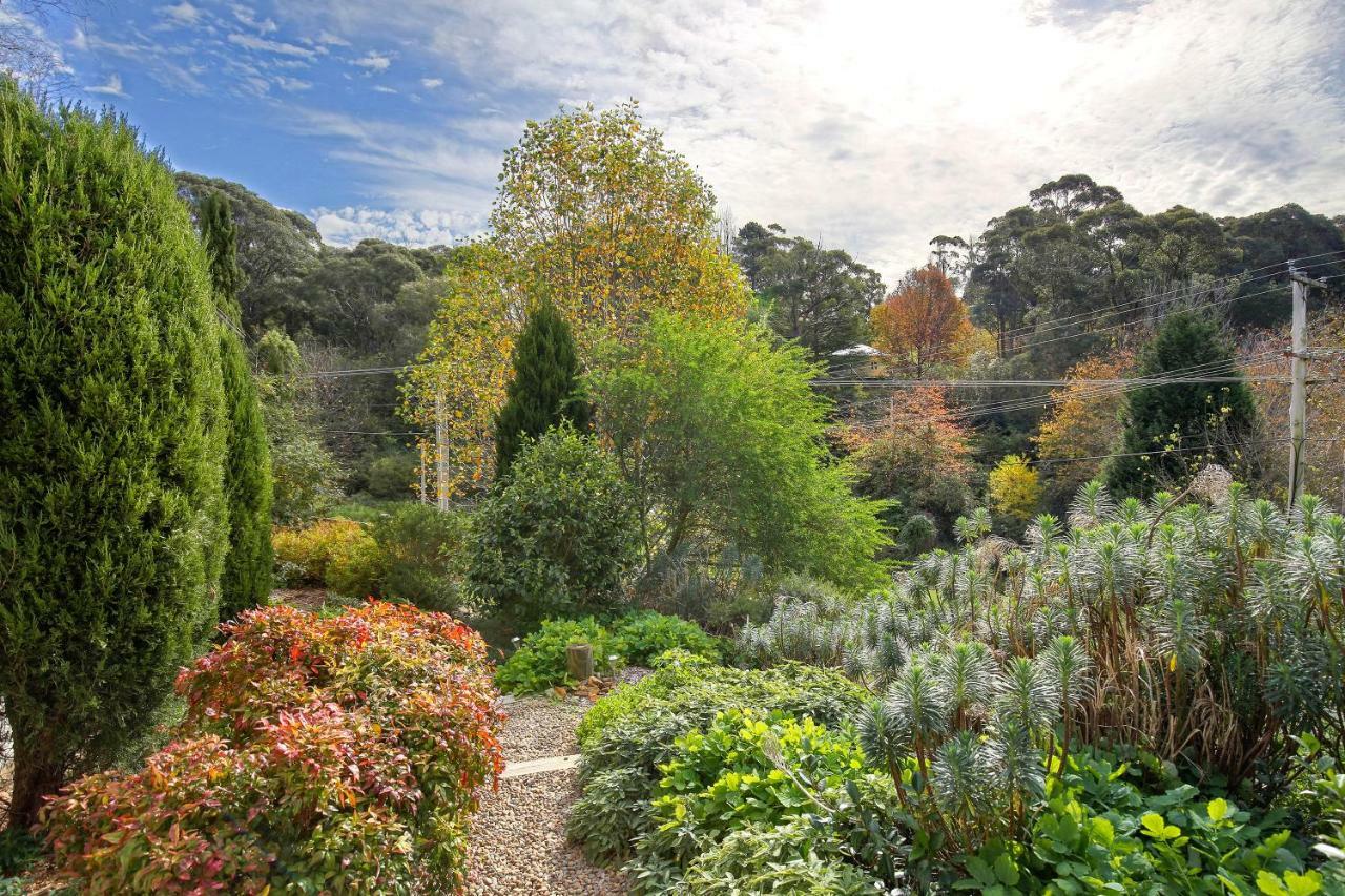 Hills Havens Cottages Leura Exterior photo